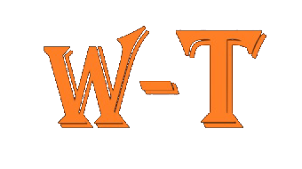 Winter Transport Logo